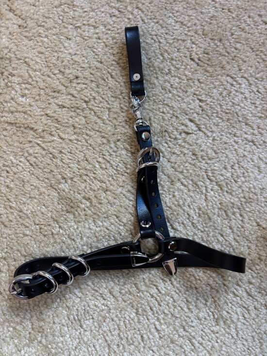 NWOT Creepy Yeha Pair of Garters - Black with silver hardware main image 6